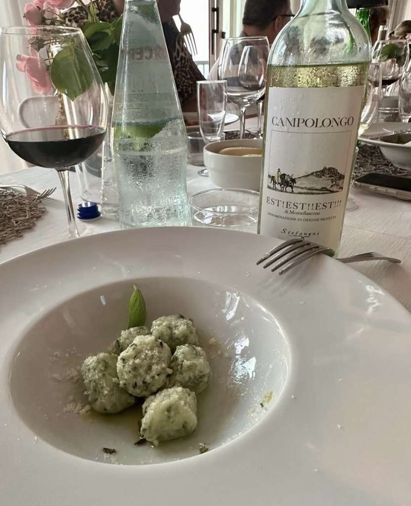 Gnudi